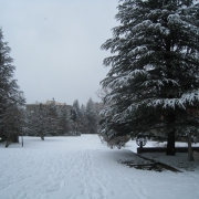 Winter Barbecue 2011