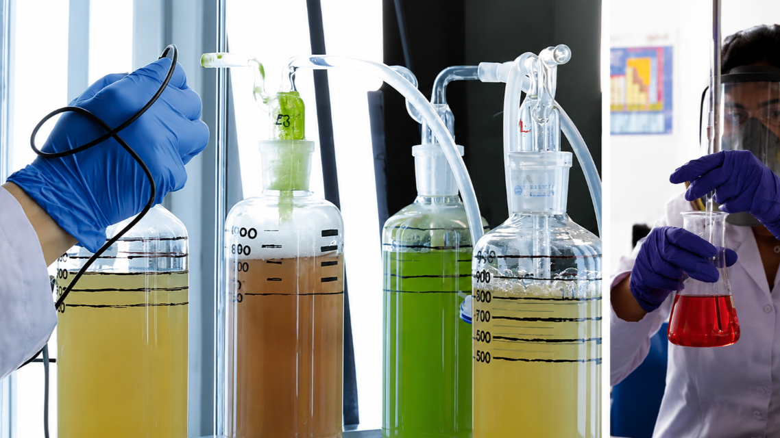 Environmental Engineering Laboratories